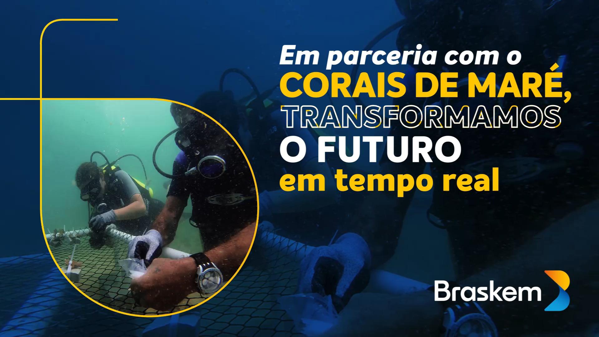 Projeto Corais de Maré